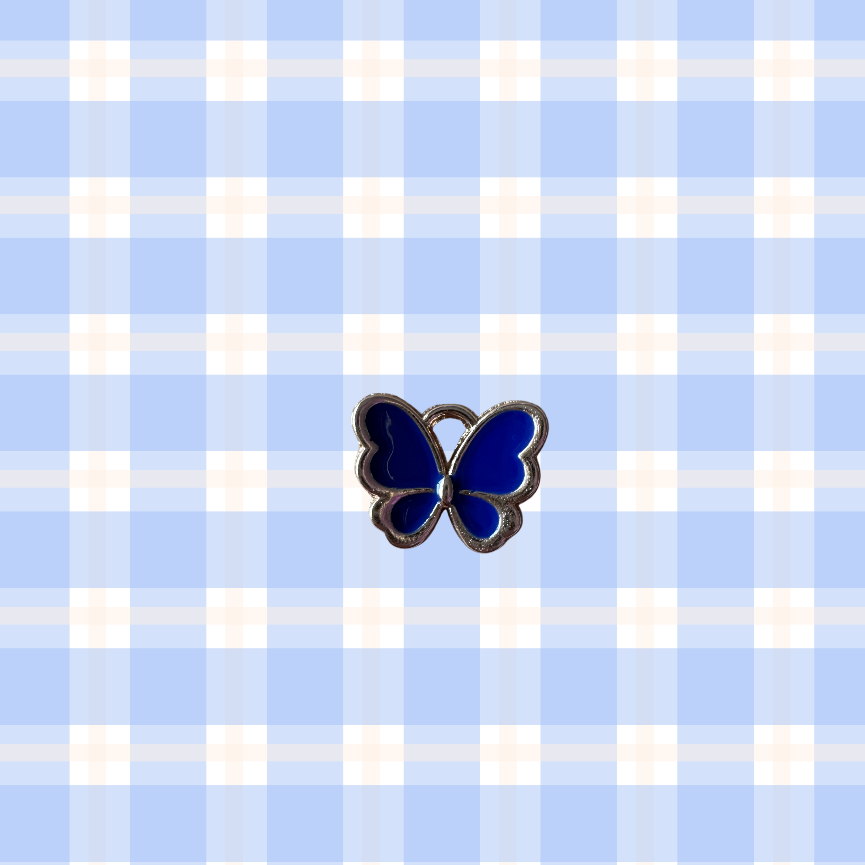Blue butterfly