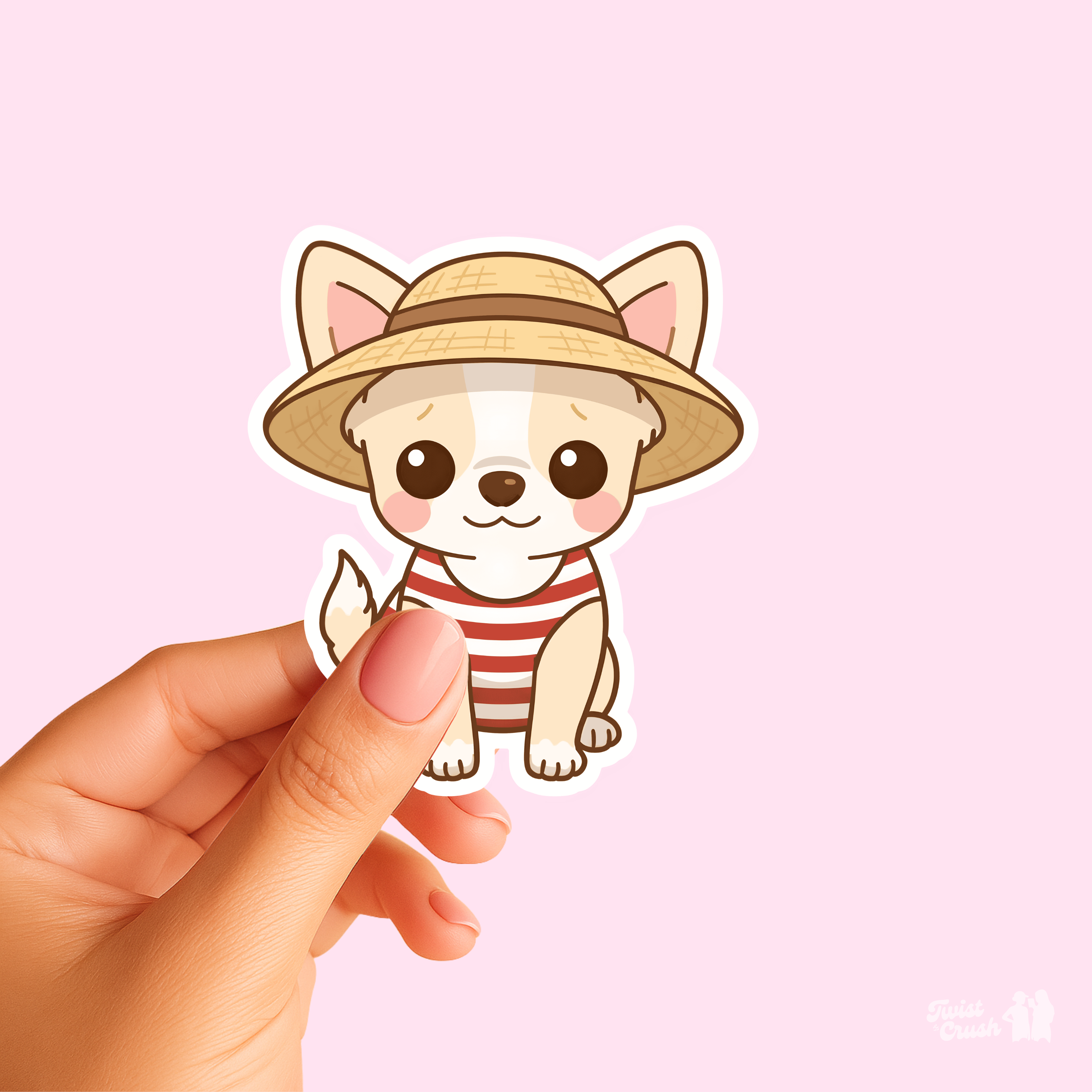 Chihuahua à la plage