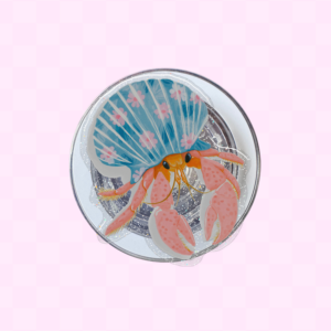 Petit Crabe d’Été