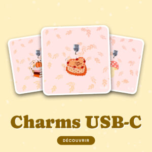 Charms USB-C et Attaches